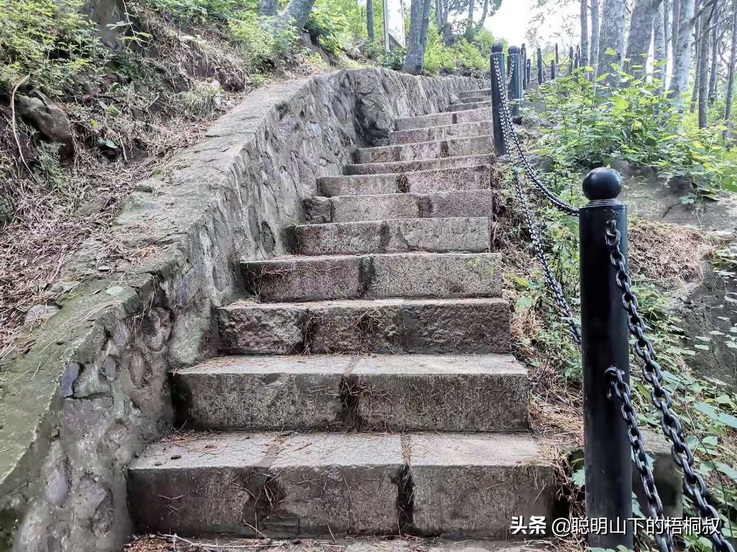 蟒山国家森林公园自由行攻略,北京蟒山森林公园游玩攻略