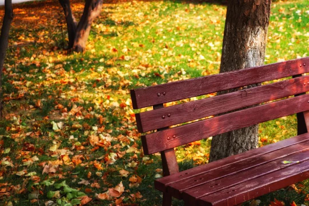 天津超奢华大学,天津大学旧校区取景