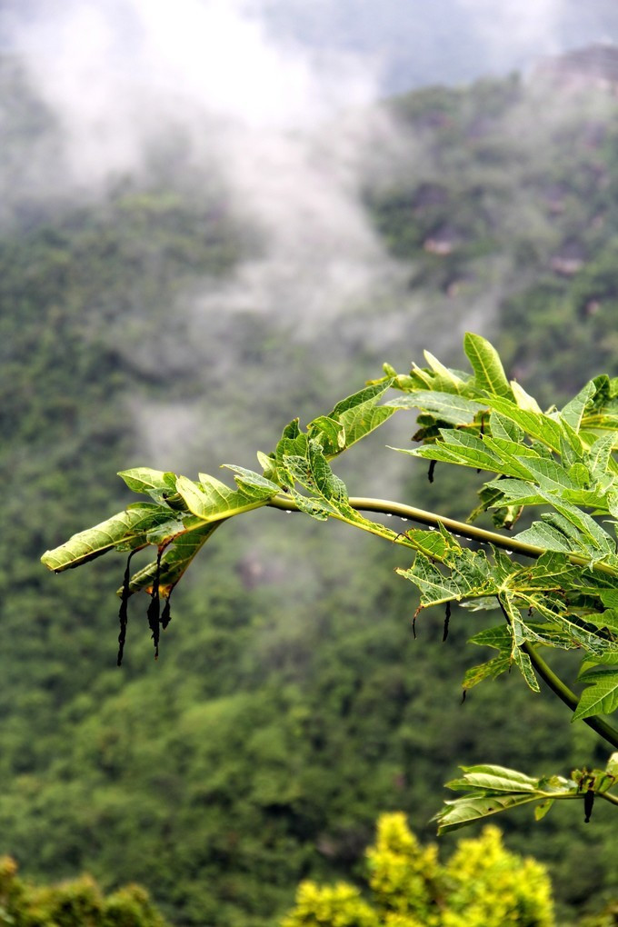 带娃游三亚之旅,带着孩子去旅行之海南三亚