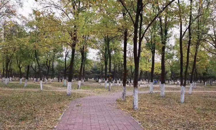 创森进行时丨立冬后，我把丰台的秋，收进了相册里