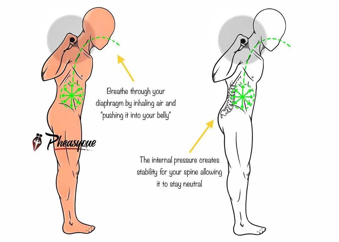 男女深蹲次数多少合适,练习深蹲一个月有什么效果