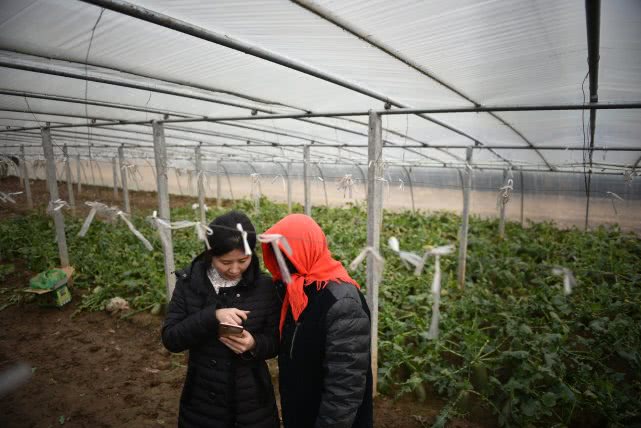 天津美女卖萝卜月入15万,90后豆腐西施月入过万