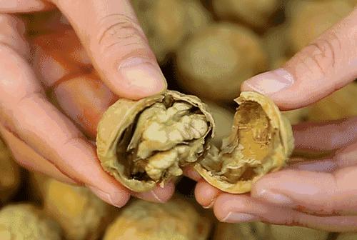 核桃剥外衣最简单的方法,核桃上有一个小孔