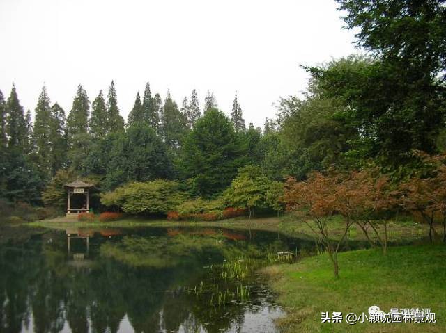 住宅小区植物配置方案,植物种植小技巧一览表图