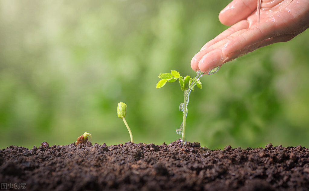 同性之间会有正缘吗,同性之间会有正缘么