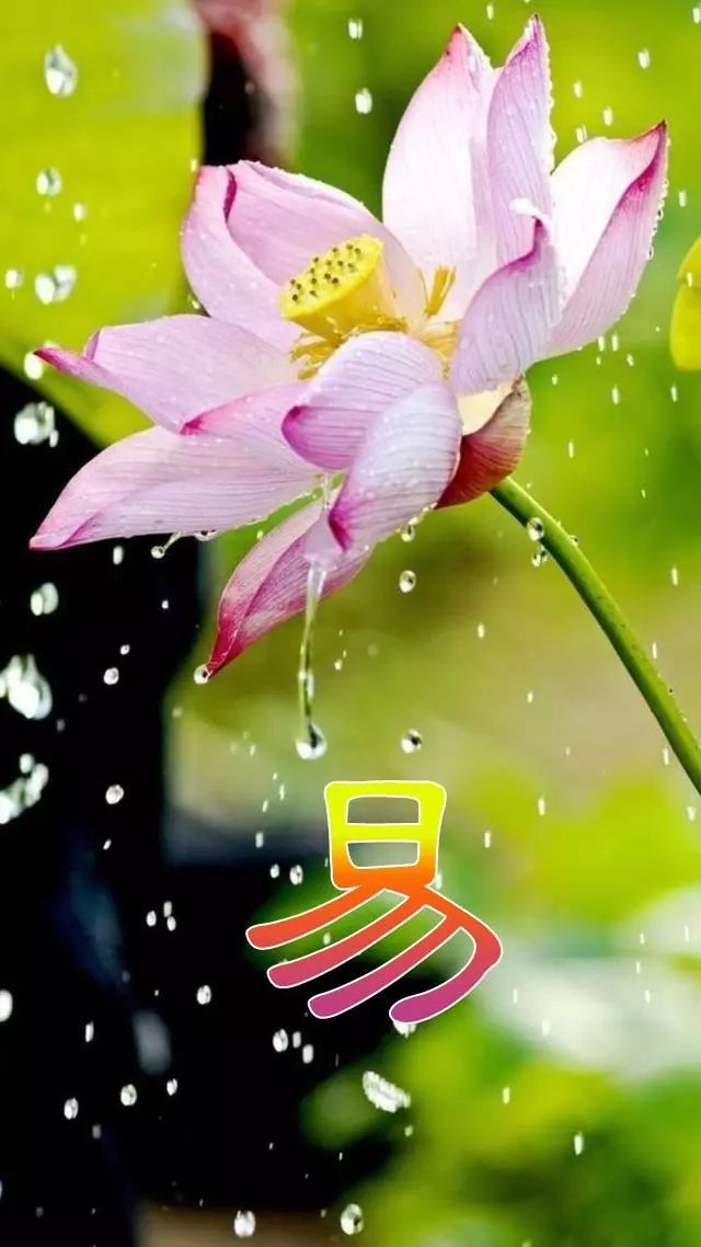 珠宝翡翠艺术字体,翡翠字体图片欣赏