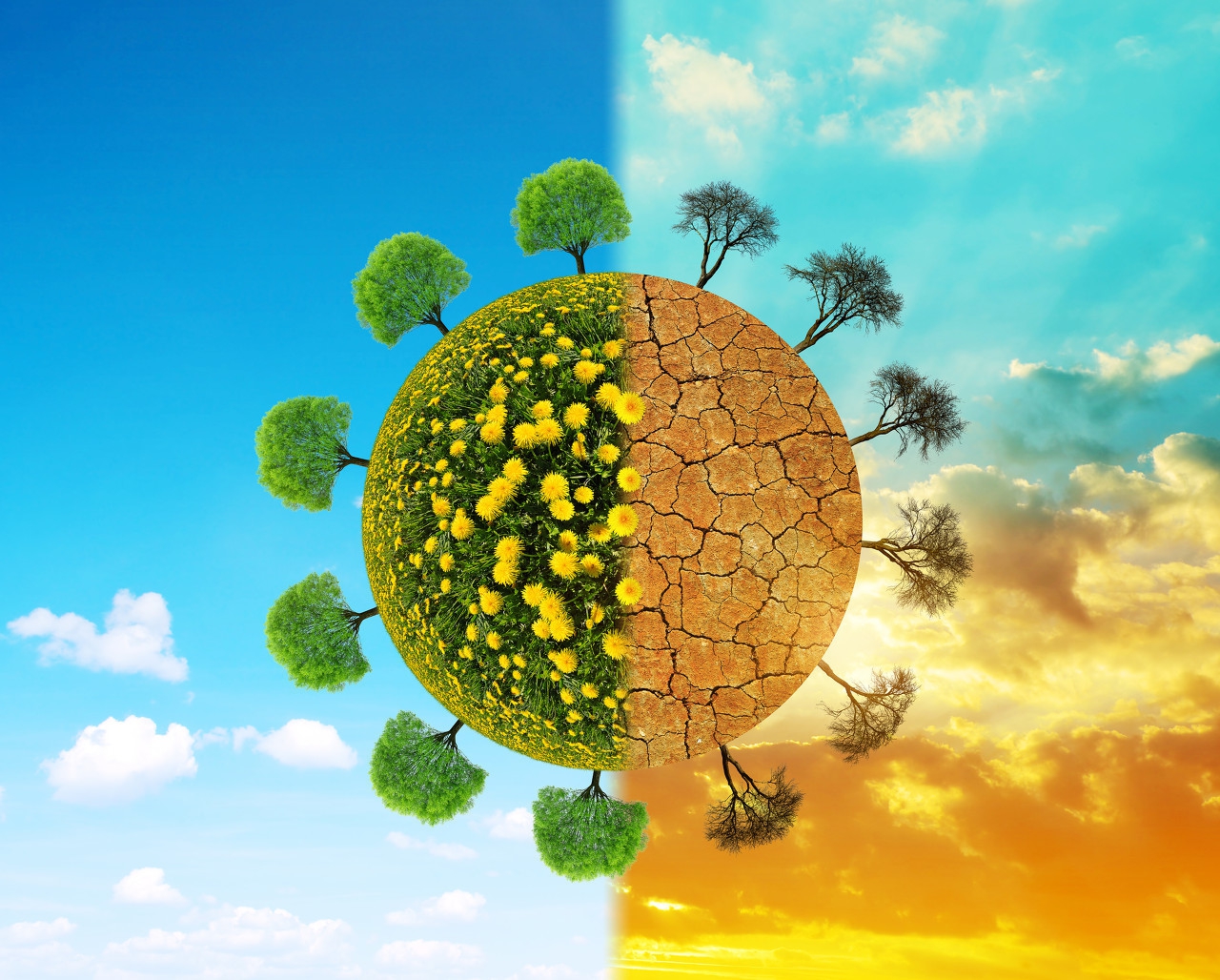 秋天皮肤干燥中医辨证,皮肤脱皮干裂痒用什么中药