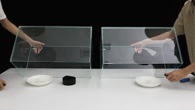 日本除甲醛豆子,日本甲醛清除剂真的有效吗