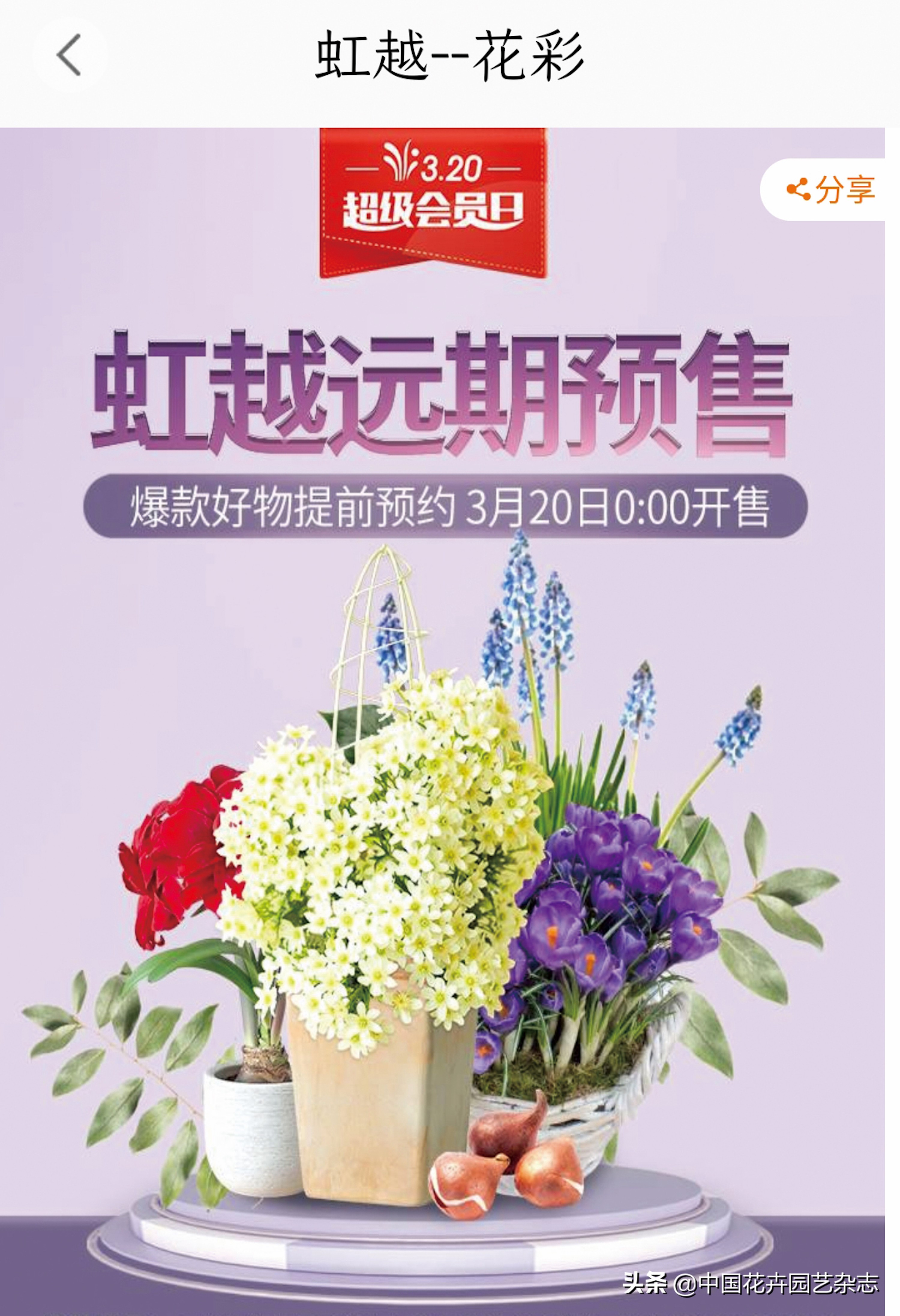 传统电商平台:不变的是一直在变|《中国花卉园艺》2020年7期专题