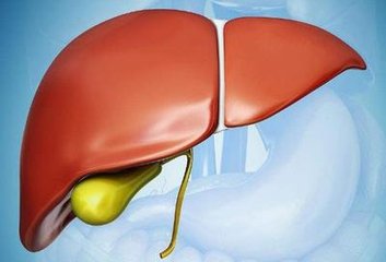 脂肪肝最严重会怎么样,脂肪肝很明显