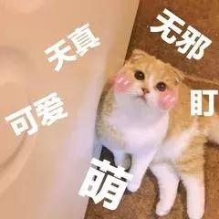 大牌彩妆全线试色测评,冷门彩妆测评排行榜最新