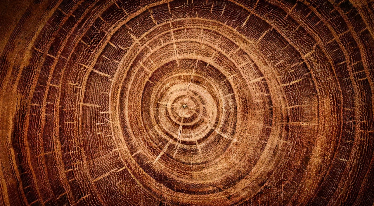 为什么买实木家具还能买橡胶木的,为什么实木家具材料都要进口