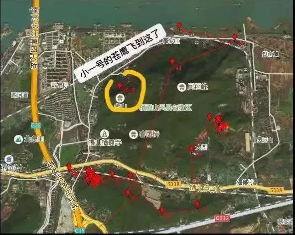 男子贩卖国家二级保护动物被刑拘,男子捕捉野生猫被拘留