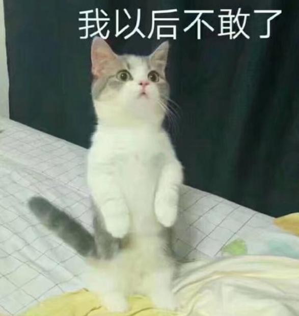 恋爱后的男生有多粘人,恋爱后的男生有多可爱