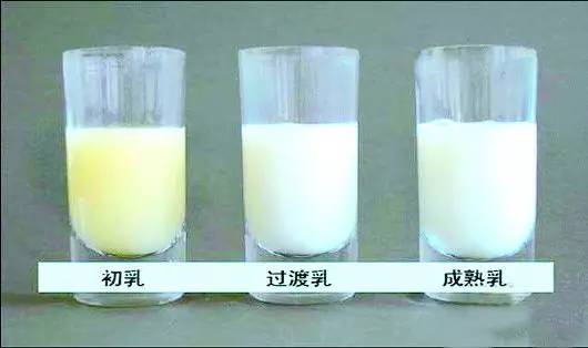 母乳喂养可以一次喂一侧乳房吗,母乳喂养为什么要挤一点出来再喂