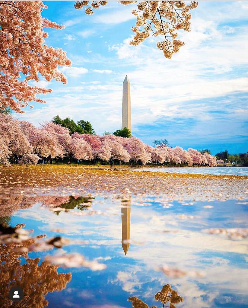 是心动啊，樱樱樱樱樱樱樱樱樱