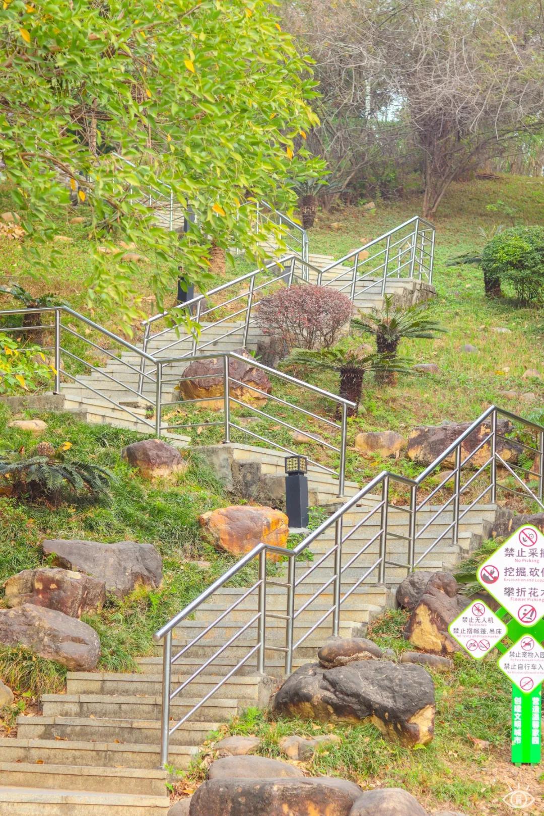 深圳儿童乐园要预约吗,深圳儿童乐园室内免费游乐场