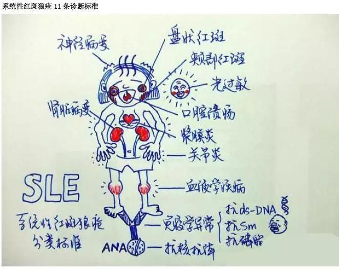 释疑解惑掀开羟氯喹的神秘面纱,氯喹和氯喹啉的作用