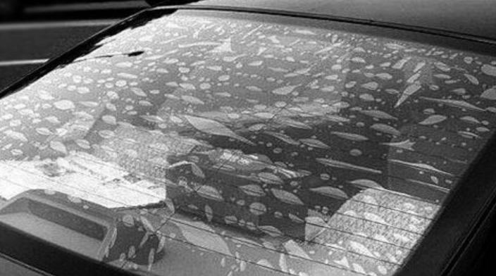 车膜起泡了有什么危害,车膜起泡痕迹的处理