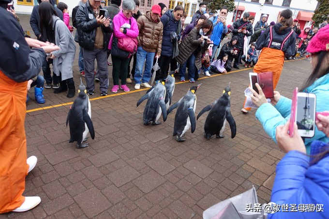 日本自由行出境旅游,去日本旅游要流水账单