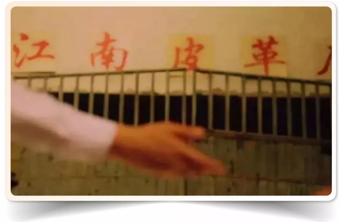 江南皮革厂黄鹤回忆录,江南皮革厂黄鹤事件图片