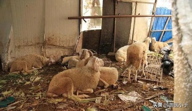 再穷也别碰这四种生意,农村不建议做的三种生意