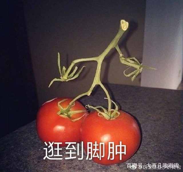 表情包我能怎么办呢,表情包我怎么找不到你了