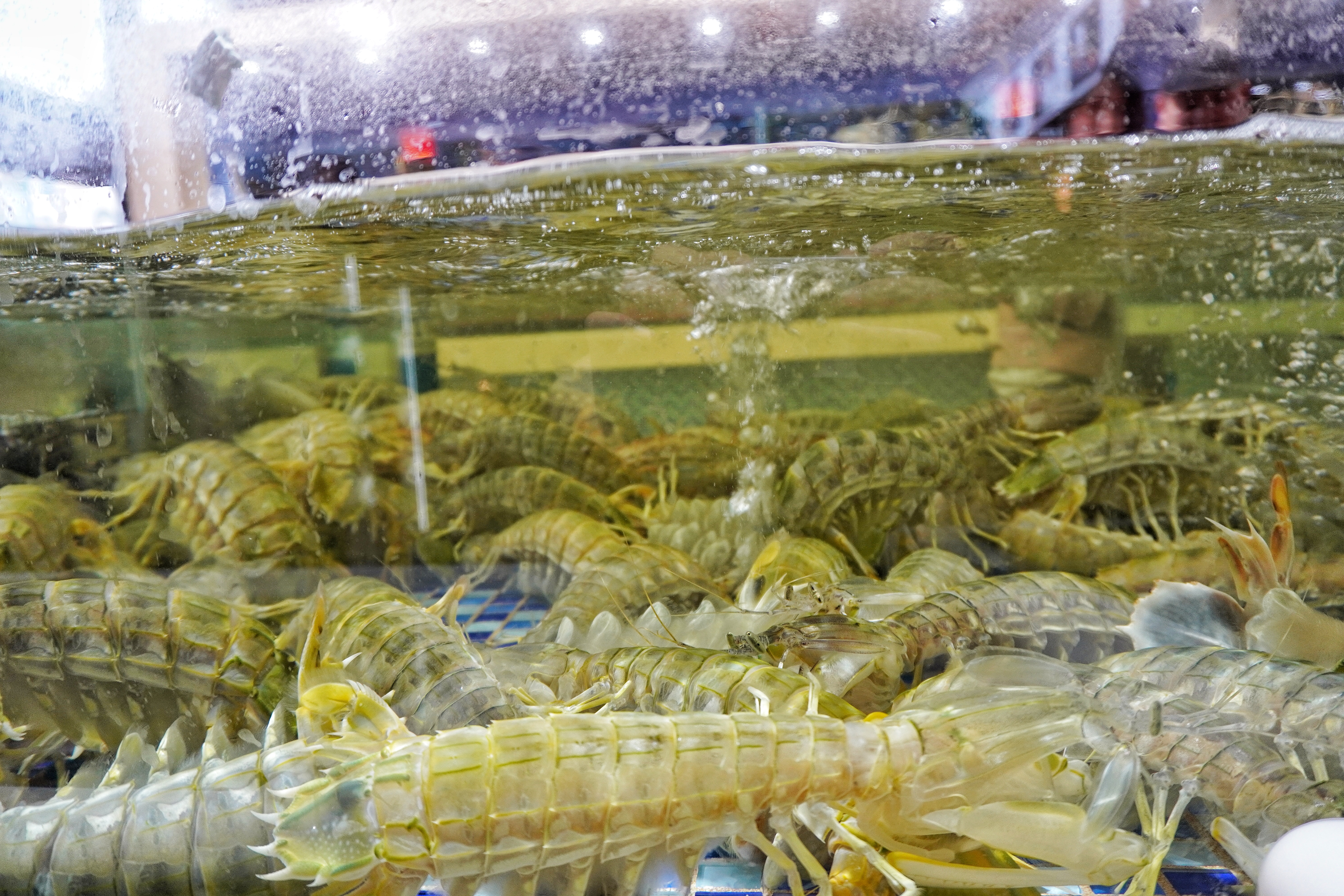 昆明海鲜大咖推荐珥季路,昆明24小时营业的海鲜大咖