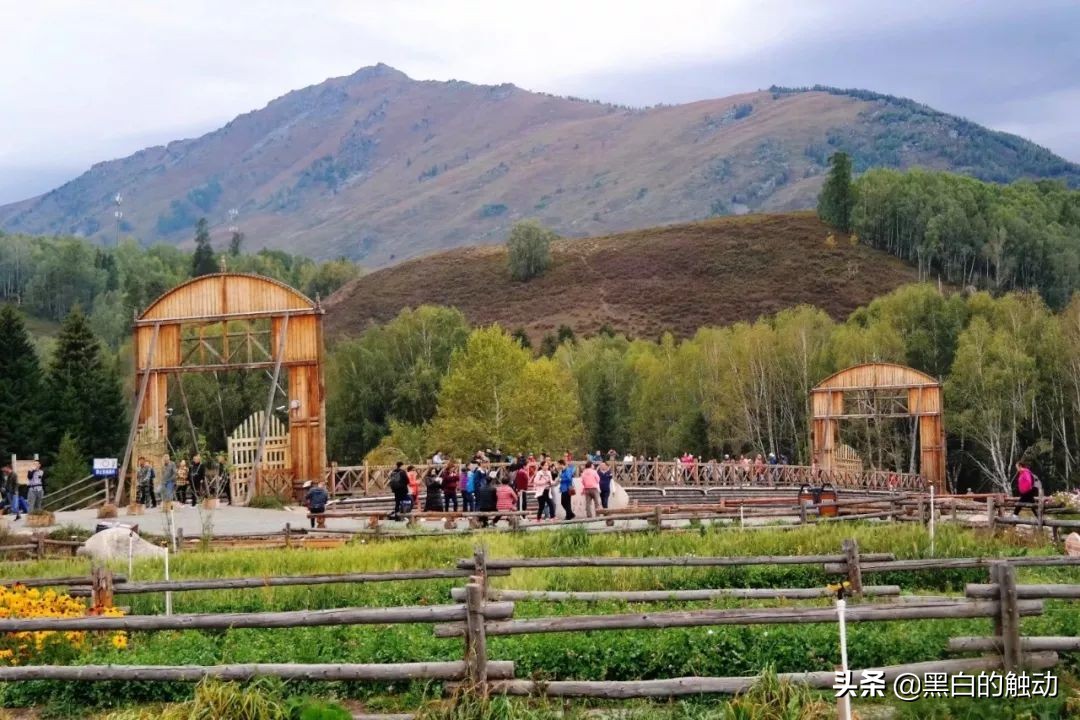 都说新疆好去新疆发展可靠么,都说新疆好地方