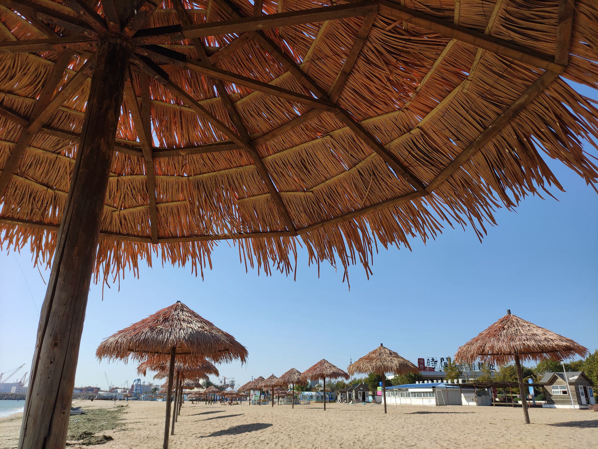 欣赏年画、邂逅大海、闲逛宜家，将生活过成诗与远方