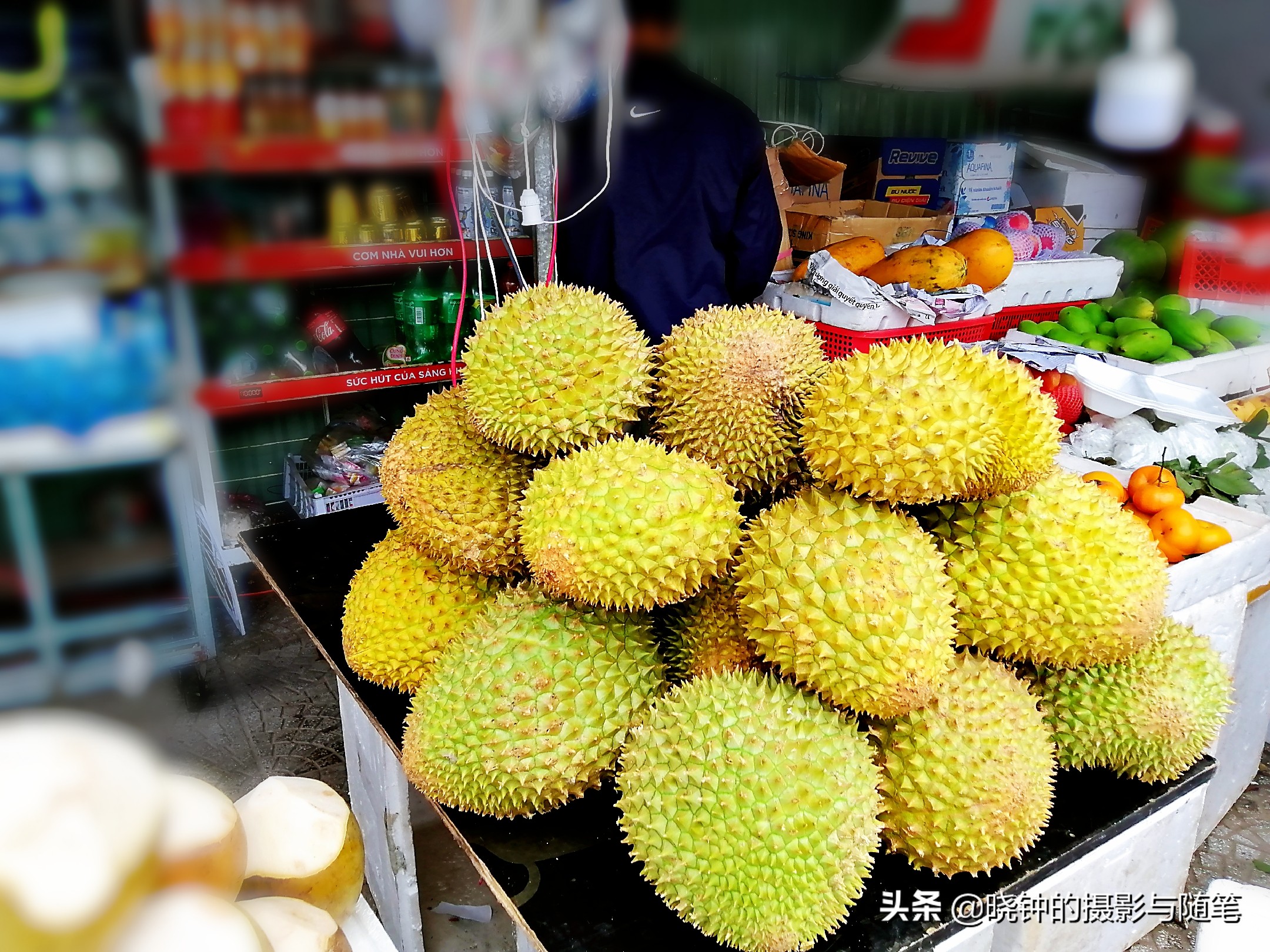 越南哪些水果贵,越南都有哪些好吃的水果