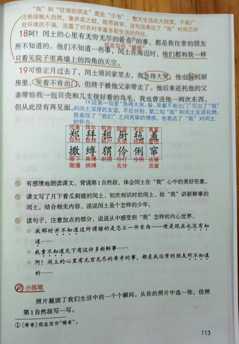 六年级语文上册二十四课《少年闰土》课文笔记，孩子预习的好帮手