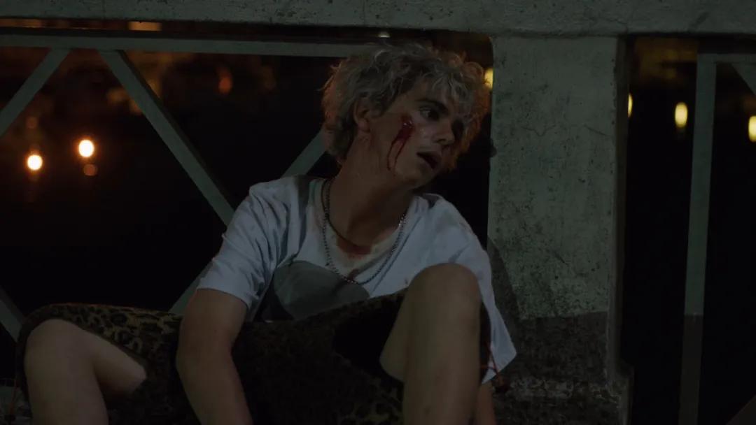 卢卡瓜达尼诺合作电影,卢卡瓜达尼诺电影风格