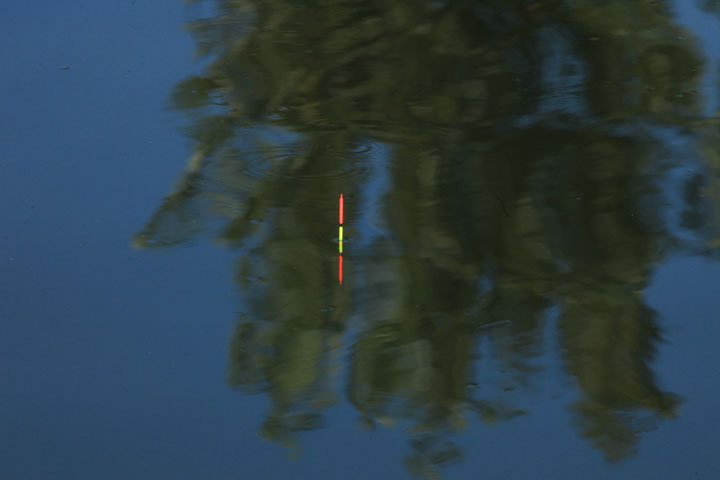 冬季钓鲫鱼浮漂上顶中鱼什么情况,钓鲫鱼总是顶漂