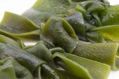 梅雨季，倍思秋，养成这个习惯一辈子不生病！