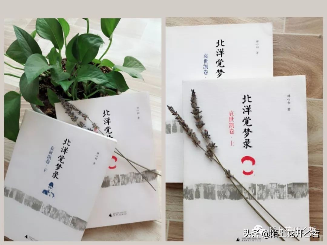 云中谁寄锦书来周悦,云中谁寄锦书来沈鱼