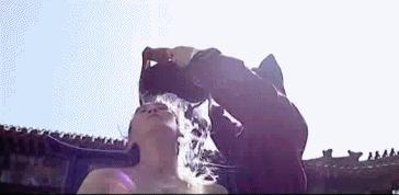 王劲松对娱乐圈的评价,王劲松为什么一年演戏那么多