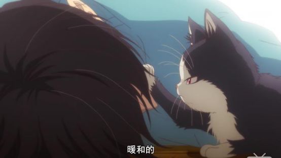 最萌新番,豆瓣8.8最佳纪录片女主