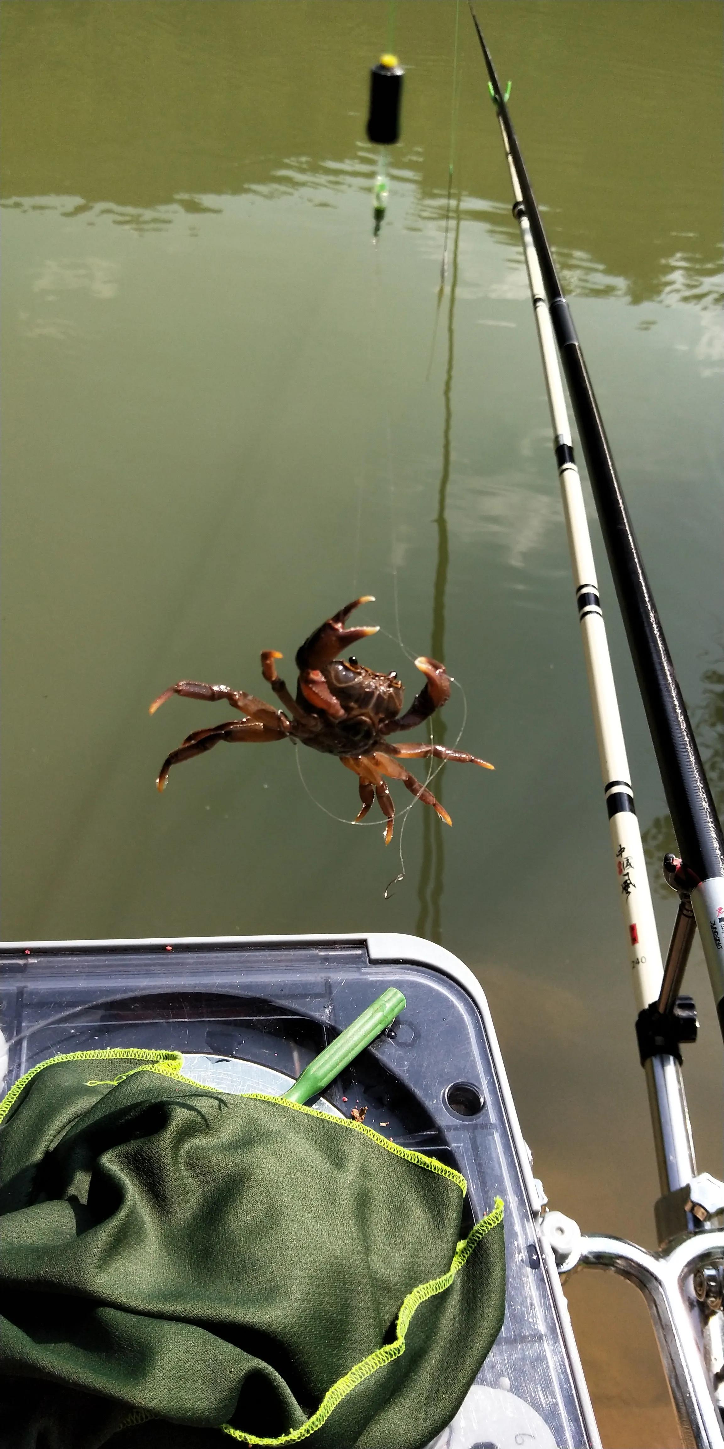 进阶型钓竿,新手钓鱼进阶教学