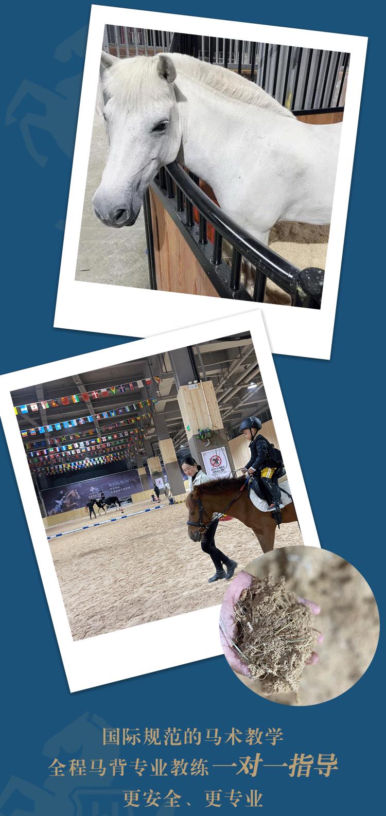 徐州英骐国际马术,徐州英琪国际马术中心