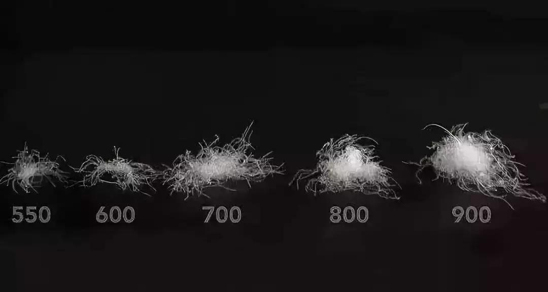 突然间觉得是不是该买件羽绒服了,要不要买羽绒服很纠结