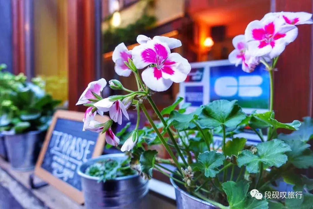 第一次去法国自由行还是跟团,跟团去法国