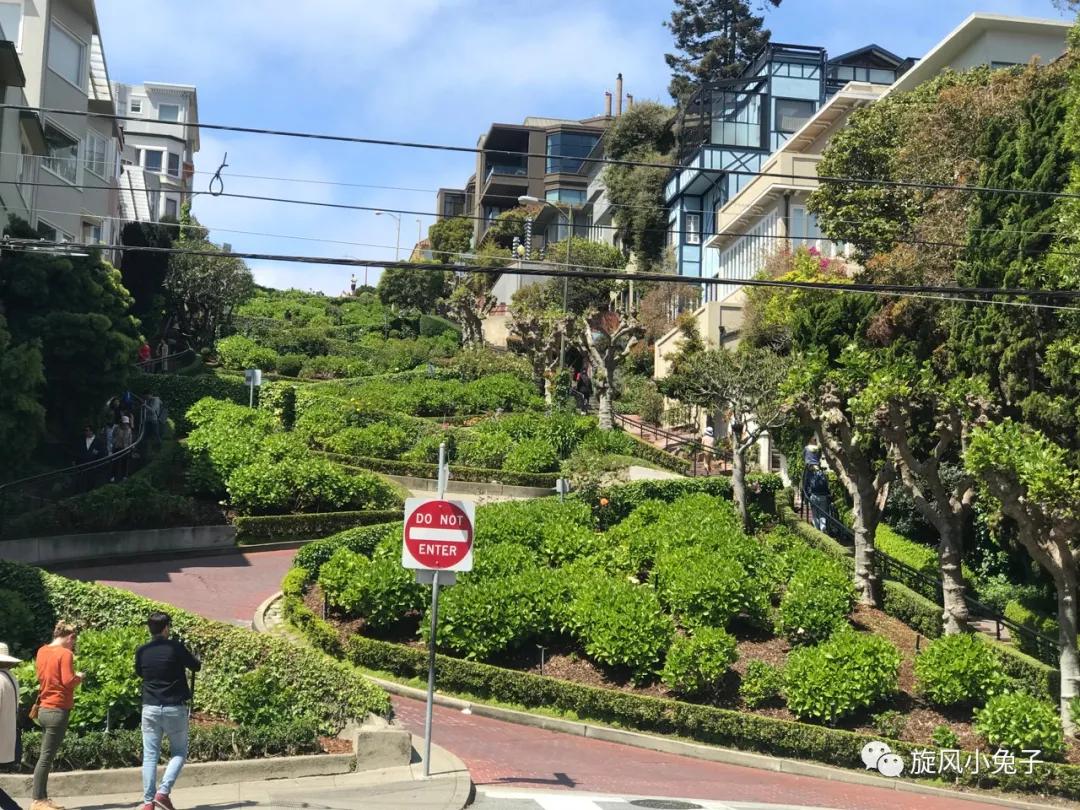 加州沿海1号公路,加州沿海一号公路一日游推荐