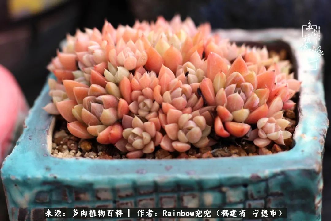 岁月无波澜余生不悲欢是啥意思,愿你岁月无波澜敬我余生无悲欢