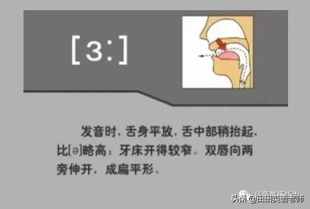 48个英语国际音标发音表图片,英语48个音标发音附详细图解视频