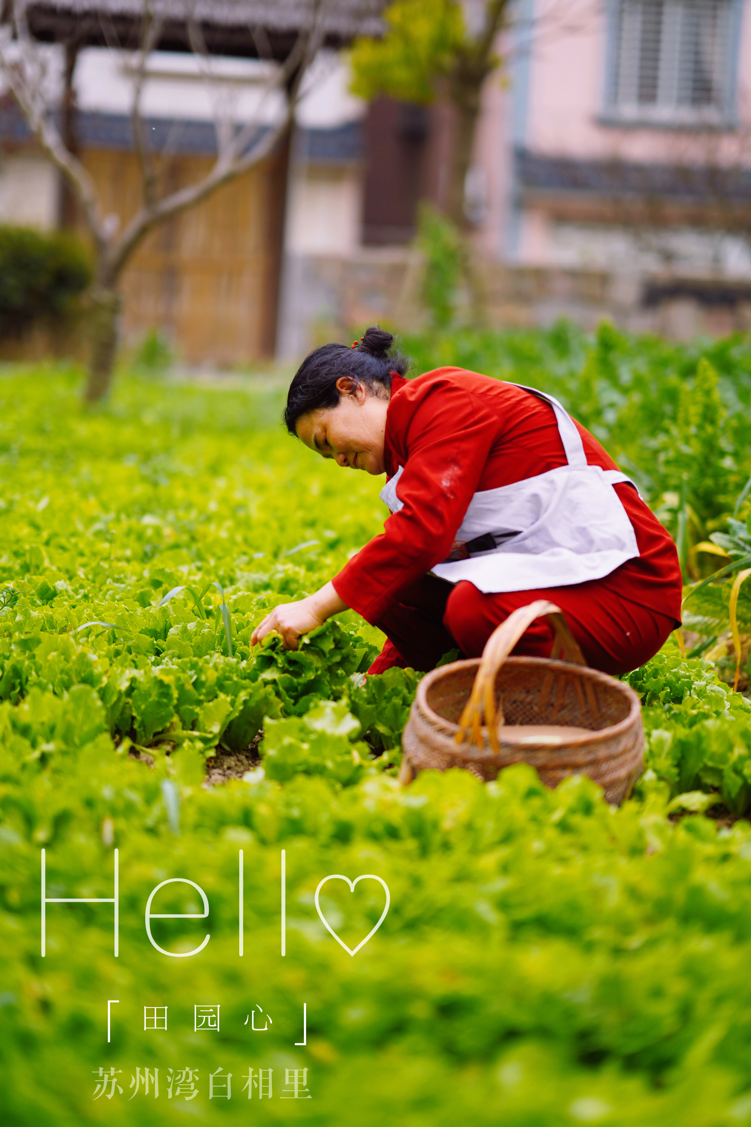 送你一份不走寻常路的苏州攻略，田园风民宿+文艺小清新打卡地