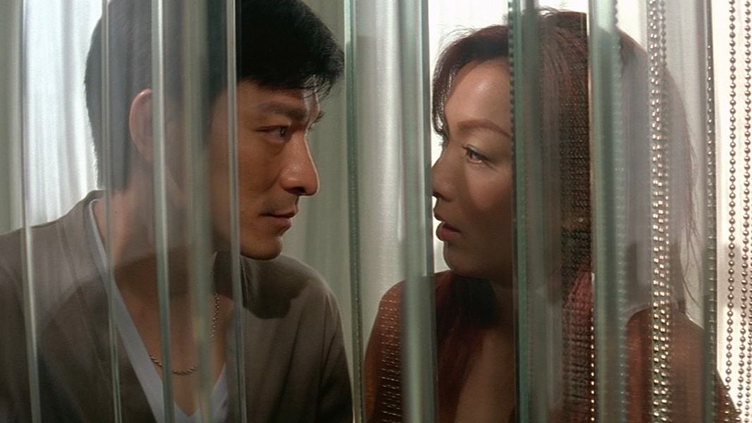 刘德华郑秀文孤男寡女歌曲,刘德华郑秀文演孤男寡女