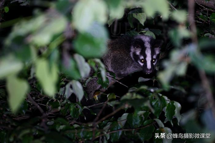 松下全画幅微单s1评测,松下s1全画幅微单拍摄视频