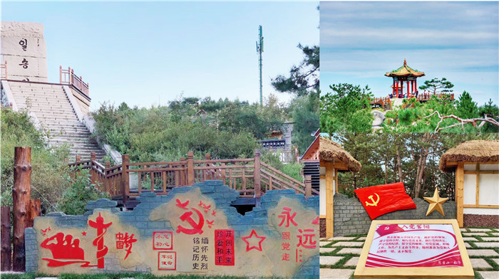 2020年“琵岩山”杯“礼仪延边我先行，公筷公勺更文明”原创作品大赛投票结果揭晓