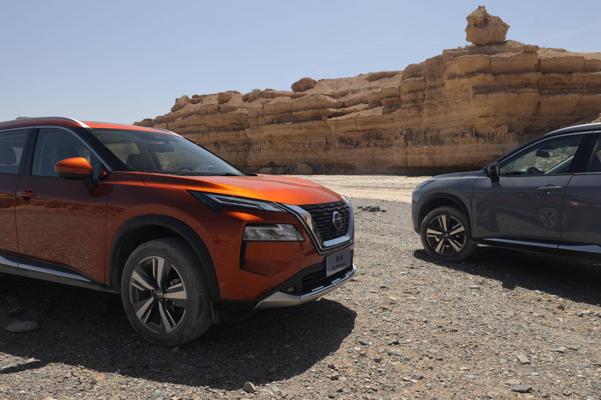 鱼和熊掌可兼得原文,鱼和熊掌也可兼得2016